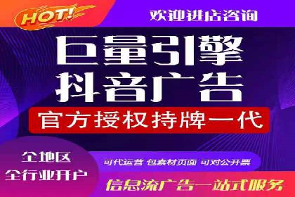 竞价推广公司案例揭秘：如何利用数据分析提升广告效果